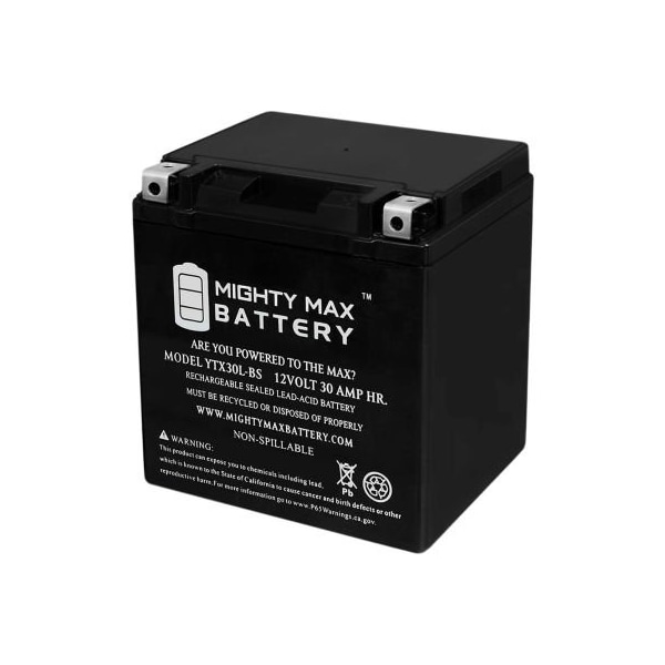 Ecom Group Inc Mighty Max Battery YTX30L 12V 30AH / 385CCA Battery YTX30L-BS - main
